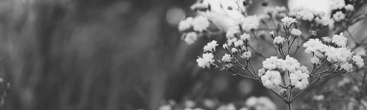 Nachruf Shulamith Koenig